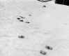 Beer Cans in the Snow