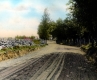 Dirt Road with Stone Pile