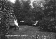 Woman in backyard