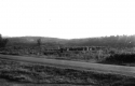 Women near gardens