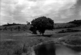 Country club