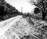 Dirt Road with Hedge