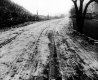 Improved road with hedge