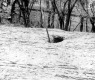 Hole in Road