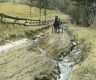 Buggy on Muddy Road