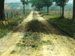Dirt road in summer