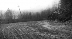 Curve in Road