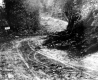 Dangerous Turns in Road