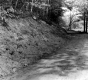 Blind Corner in Road