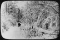 Horse and Traveler on Winter Road