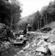 Dumptruck and Excavator in Ditch
