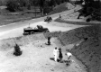 Tree Planting Beside Paved Road Intersection