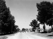 Street with Gas Stations