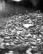 Bridge and Road after Flood