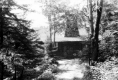 Brock's camp
