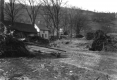 Uprooted tree and buildings