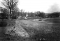 Woody debris piles