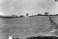 Golf course and road