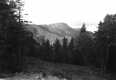 View of Mt. Mansfield