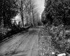 Rutted, muddy, rocky road