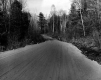 Wide, loosely soiled road through woods