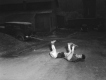 Boys in road