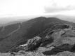 View from Mt. Mansfield