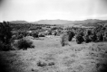 Village landscape 