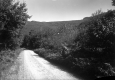 View of Mansfield from mountain road