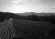 View of Mt. Mansfield