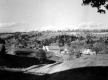 Farm and pastures