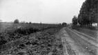 Dirt Road with Tracks, Next To Field