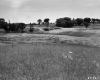 Bridge and Road Construction Through Fields