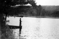 Boy fishing