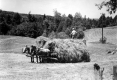 Transporting hay