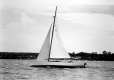 Yankee Sailing Club