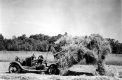 Haying with buck rake