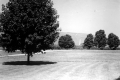 Bennington Monument