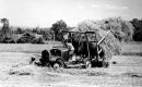 Harvesting hay
