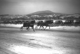 Sulky race