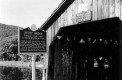 The Scott Bridge 