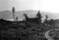 View of Town from Road