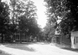 Houses and Trees