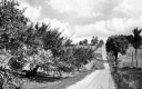 Academy Hill