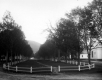 Common with fence