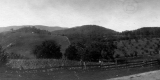 Fields and Orchards