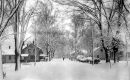 Houses in winter