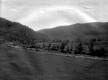 Farrell Farmland