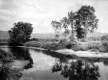 Bend in Otter Creek