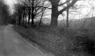 Stone Wall Near Cemetery